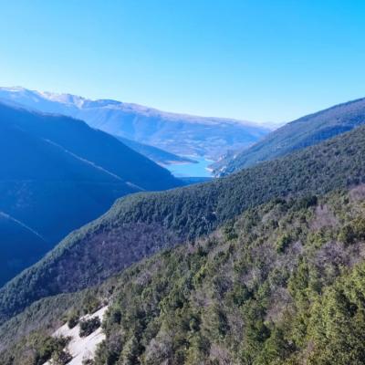 Monte Petrella e Monte Codardo: sotto il cielo dell'aquila reale