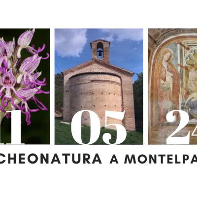 LE ORCHIDEE: MITI, LEGGENDE E NATURA