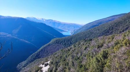 Monte Petrella e Monte Codardo: sotto il cielo dell'aquila reale